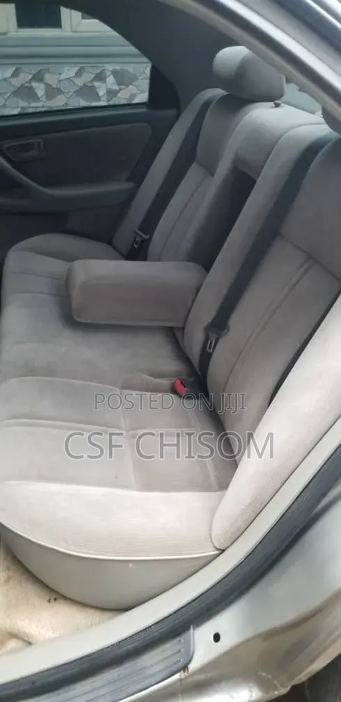 Toyota Camry 2002 Gray