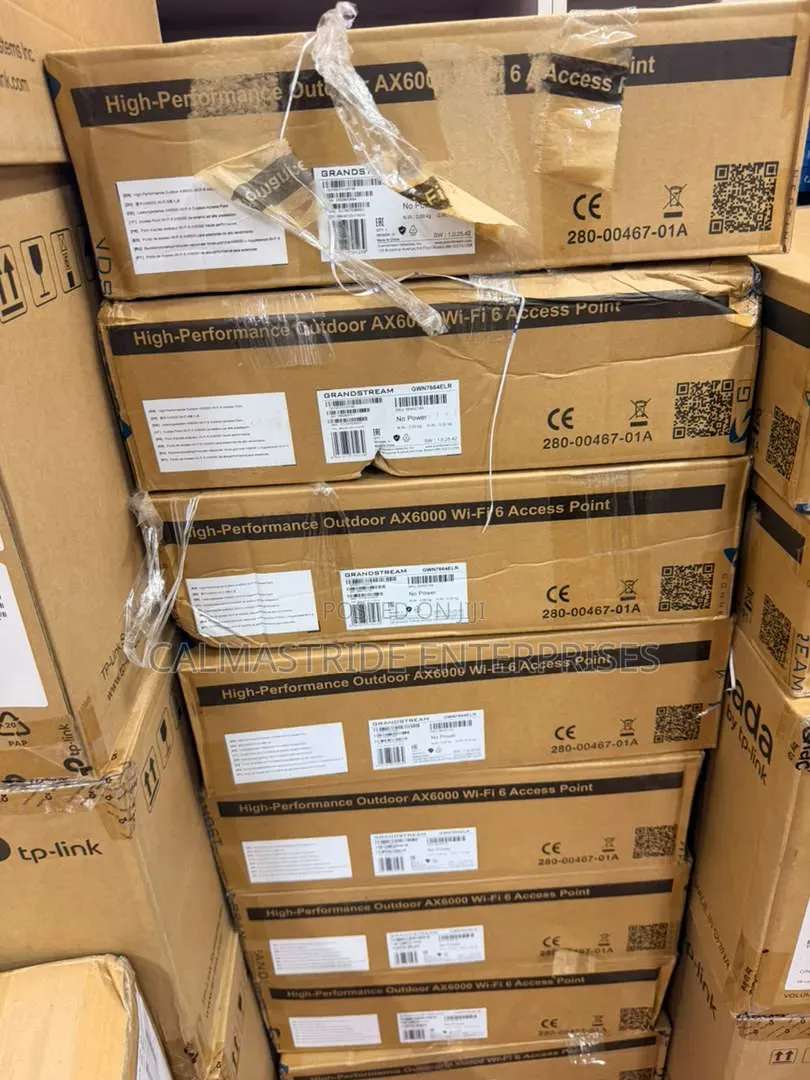 Outdoor AX6000 Wi-Fi 6 Access Point--Grandstream GWN7664ELR
