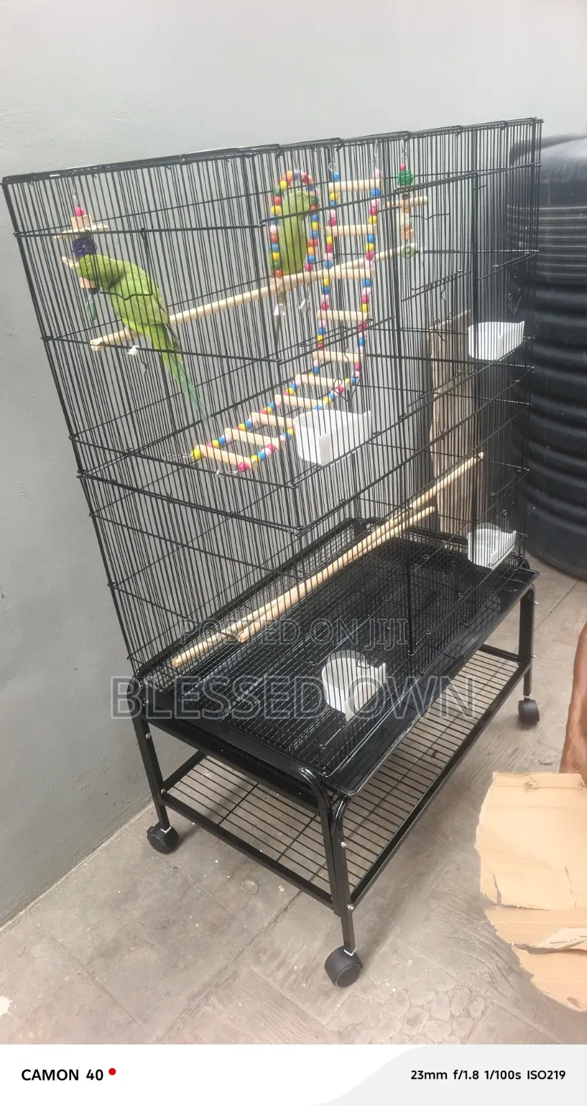 Cages for All Type of Birds Are Available