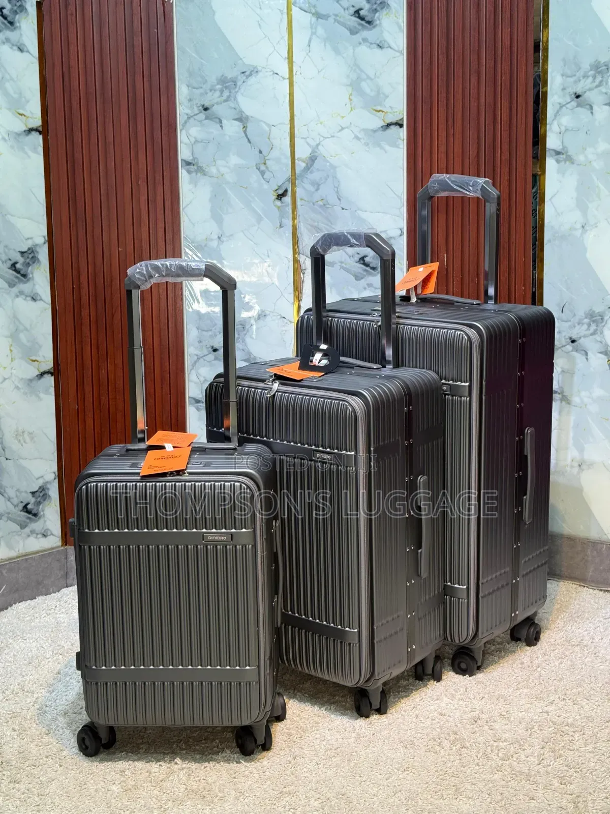 Dinobao Luggage