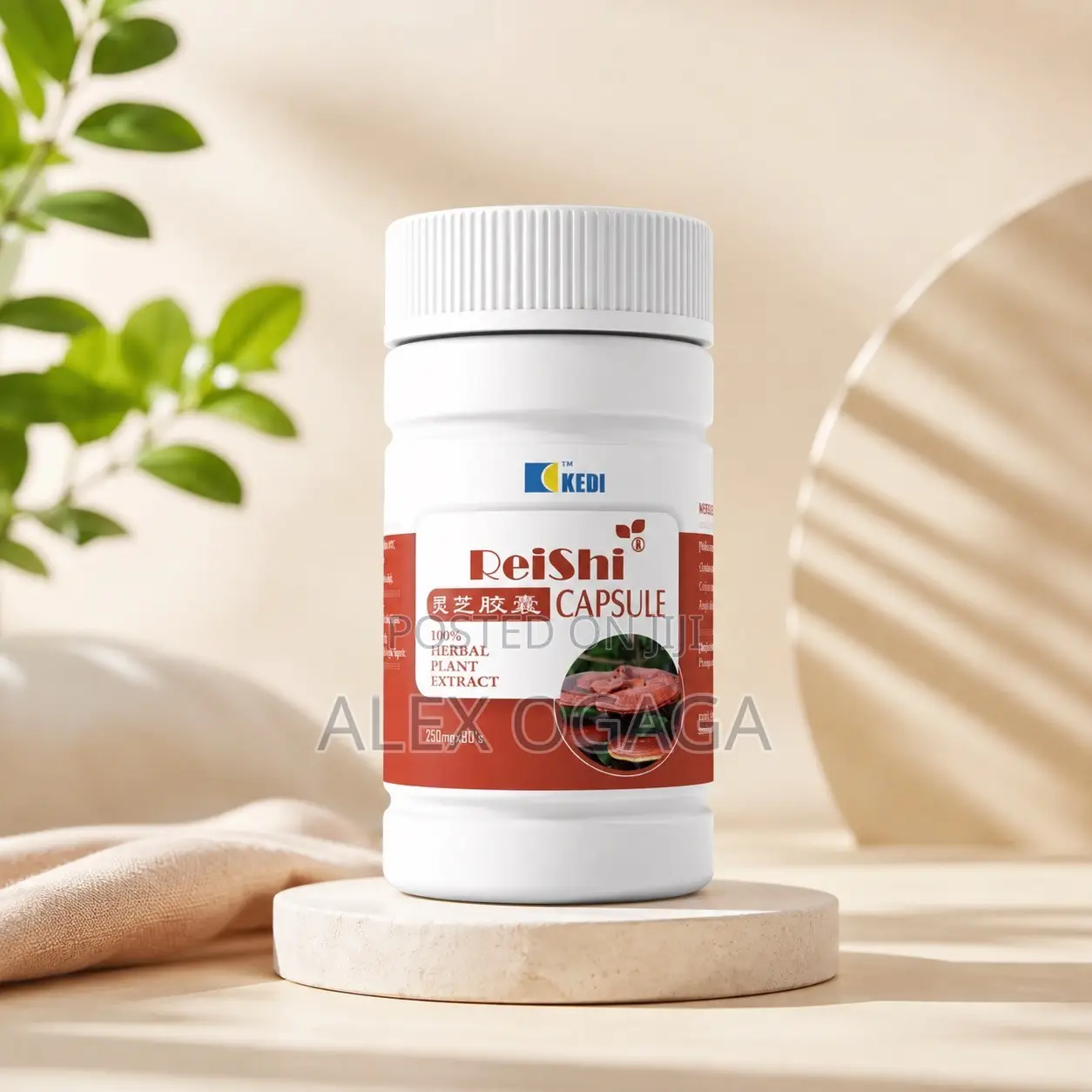 Kedi Reishi – Immune Liver Health Support (90 Caps)