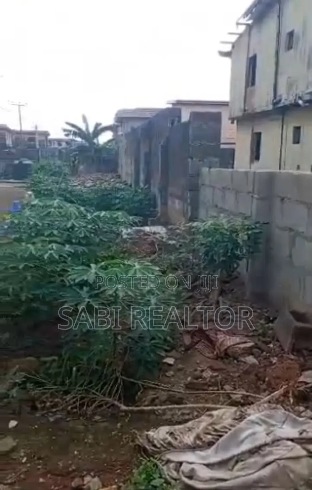 Full Plot of Land in Abesan Estate Extension Good for Residential
