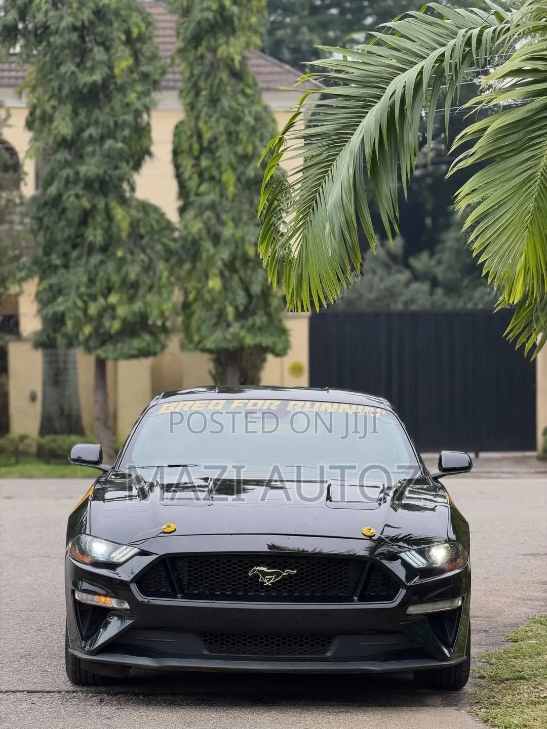 Ford Mustang GT 2023 Black
