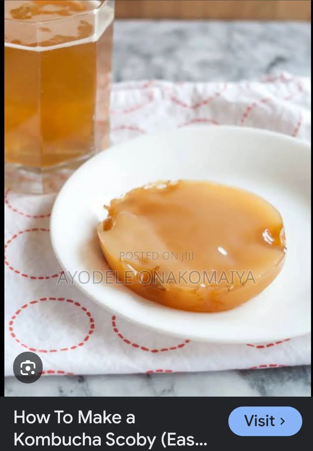 Kombucha Kargasok Tea