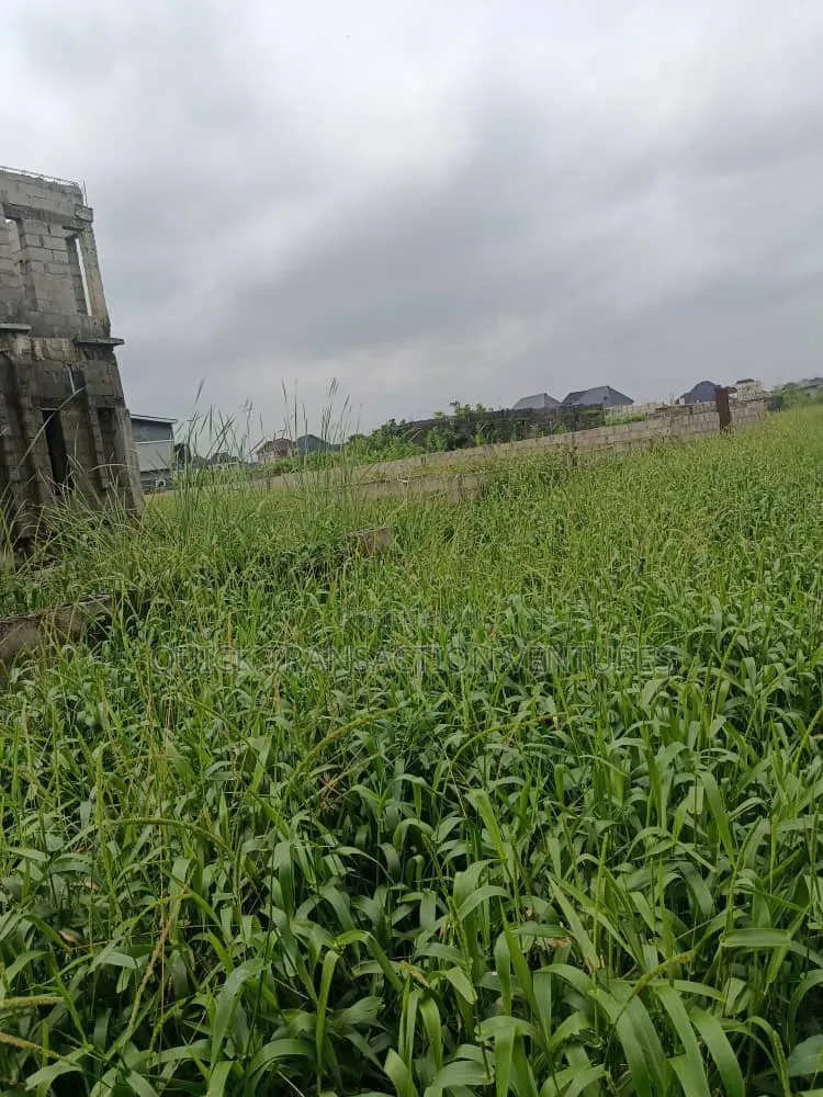 Half Plot of Land With 36 Pilling Points Done