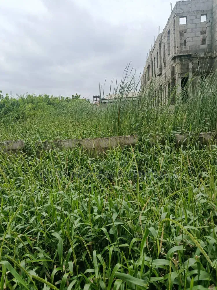 Half Plot of Land With 36 Pilling Points Done