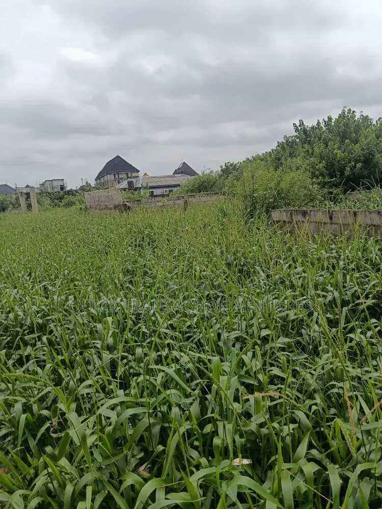 Half Plot of Land With 36 Pilling Points Done