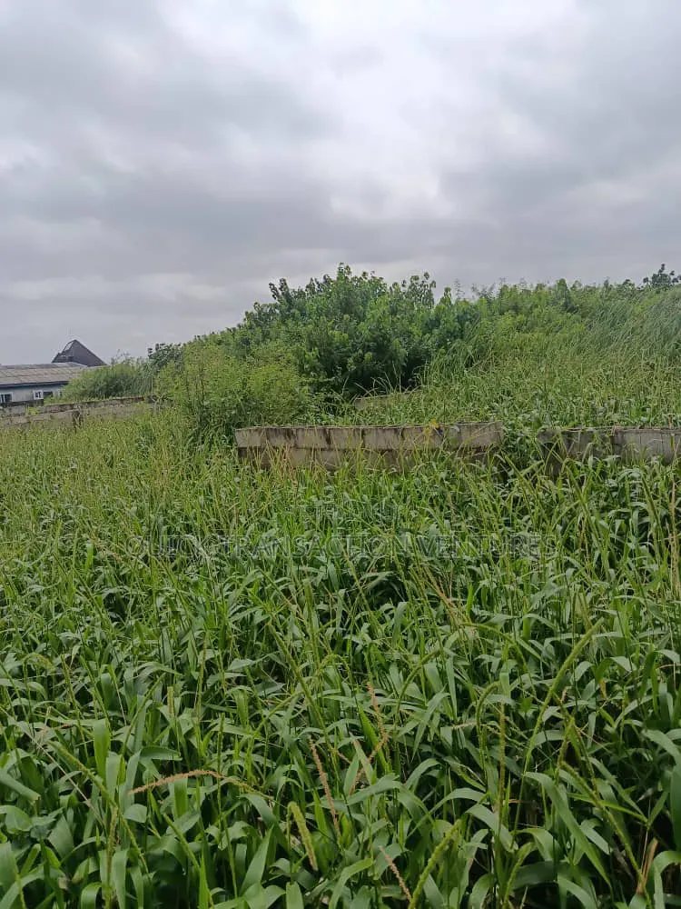 Half Plot of Land With 36 Pilling Points Done