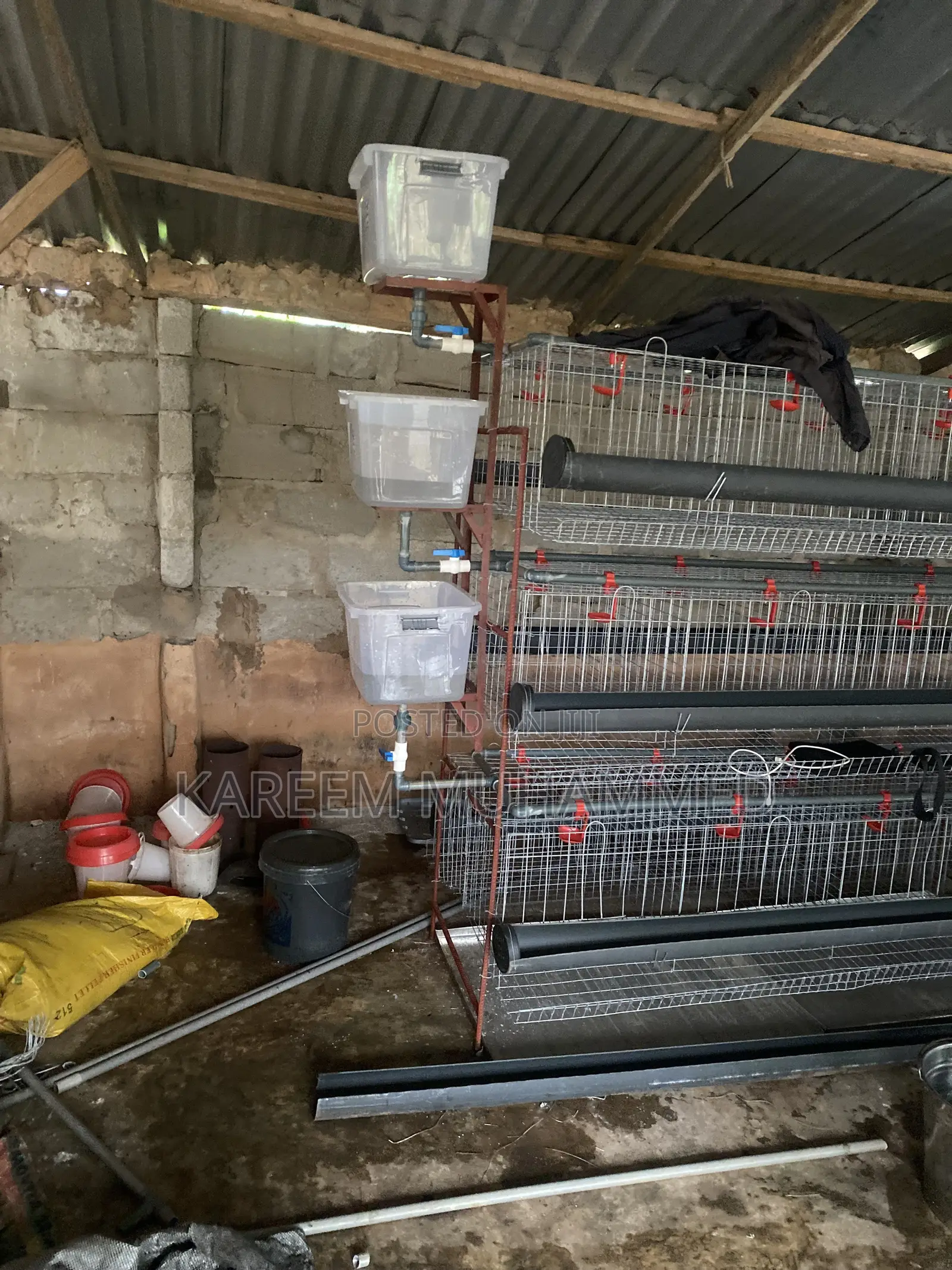 H Type Batery Cage for Layers