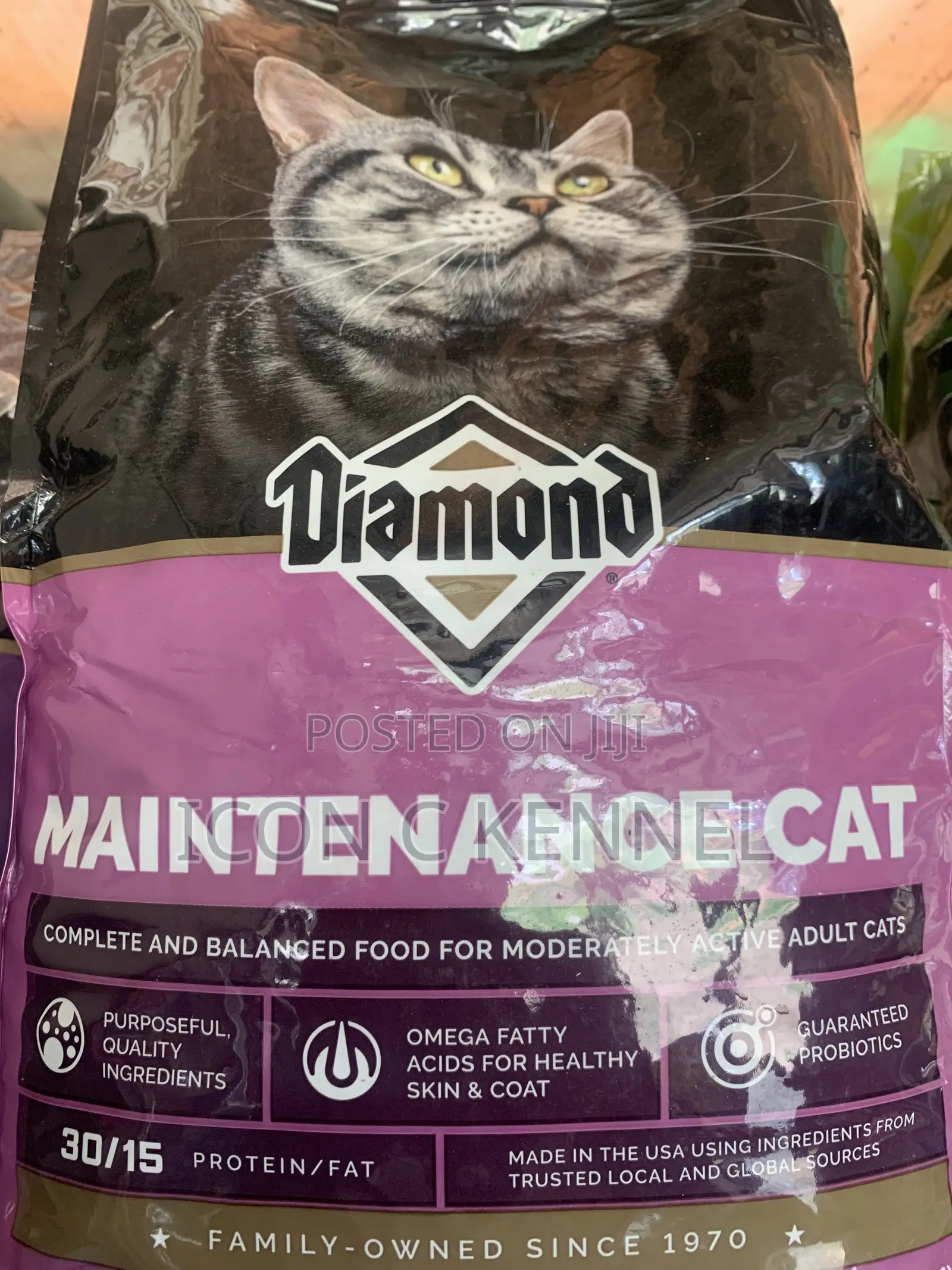 Diamond Cat
