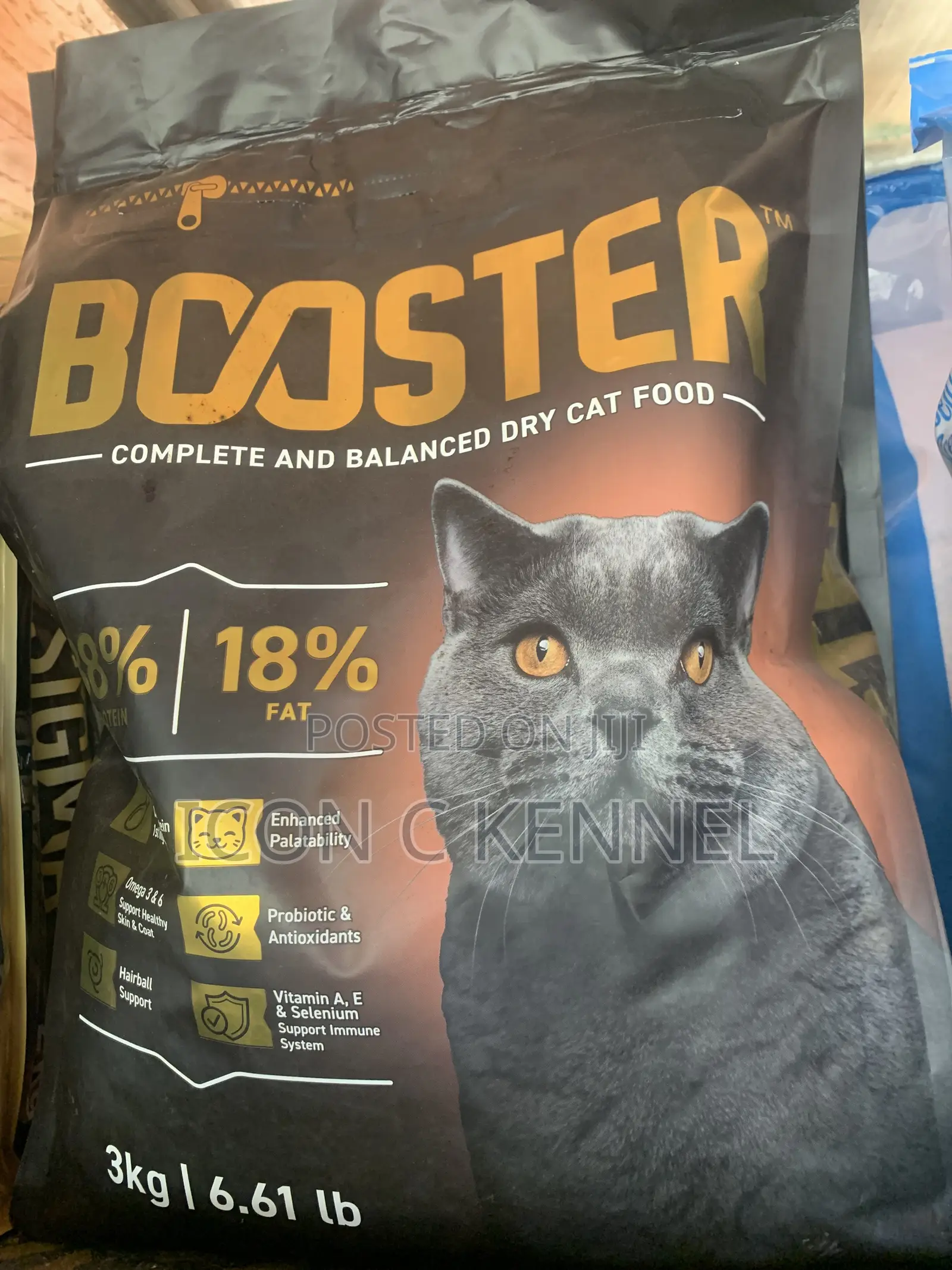 Booster Cat