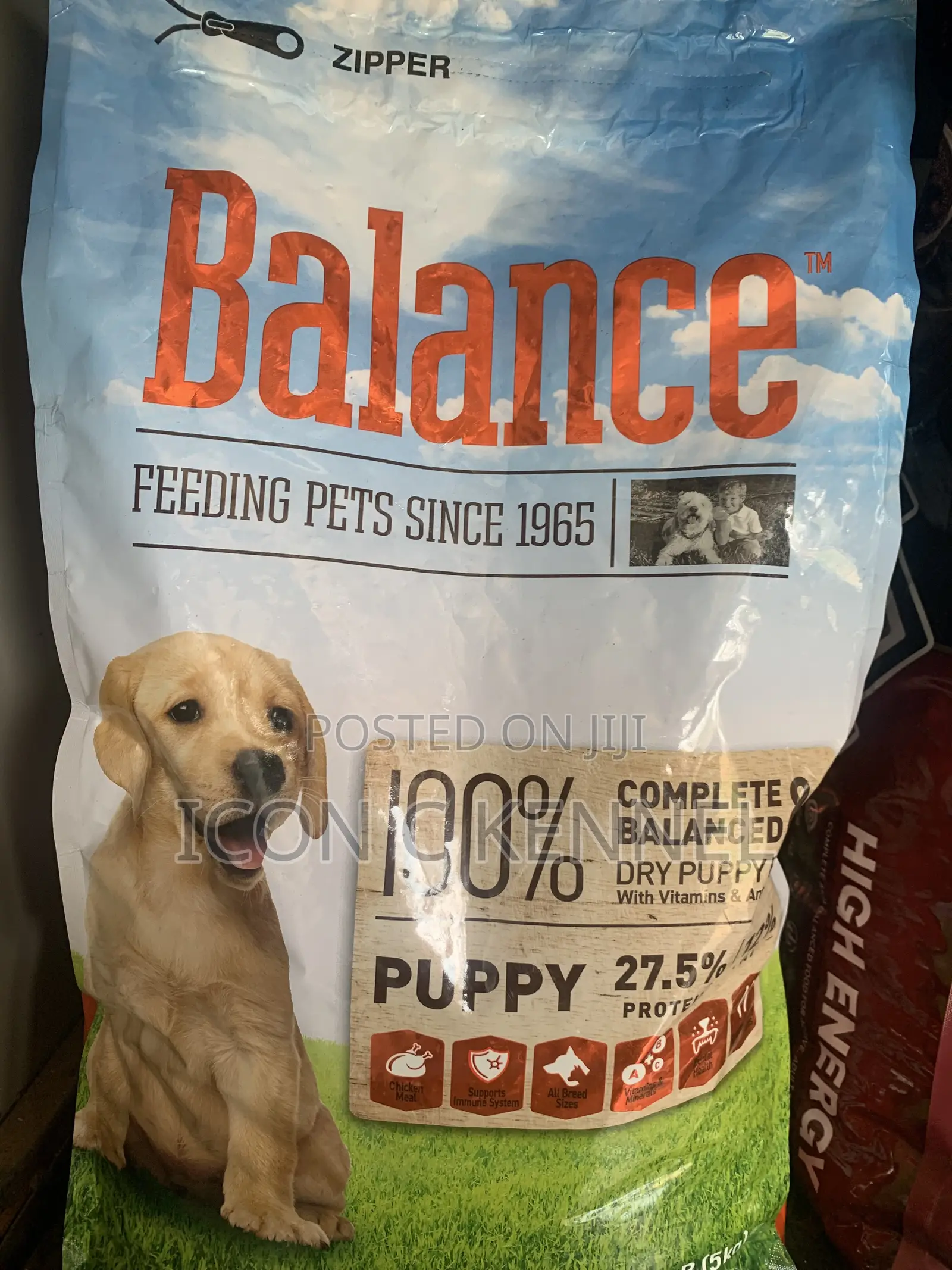 Balance Puppy