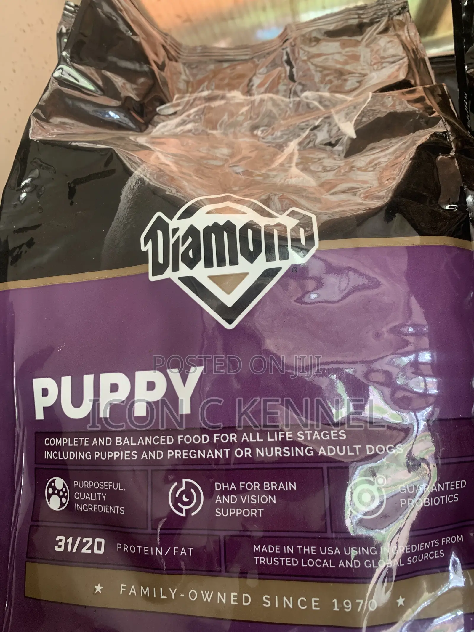 Diamond Puppy