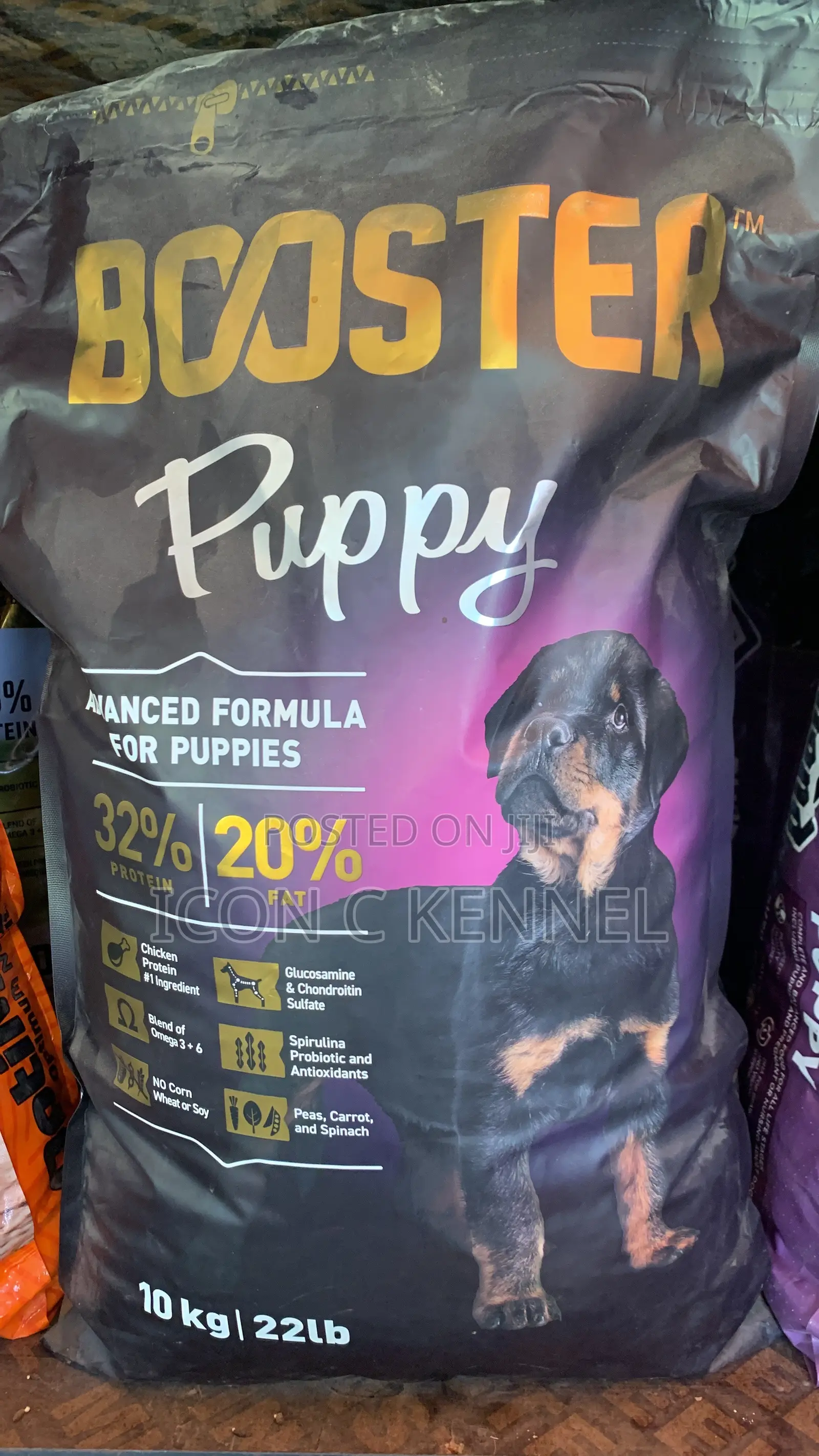 Booster Puppy