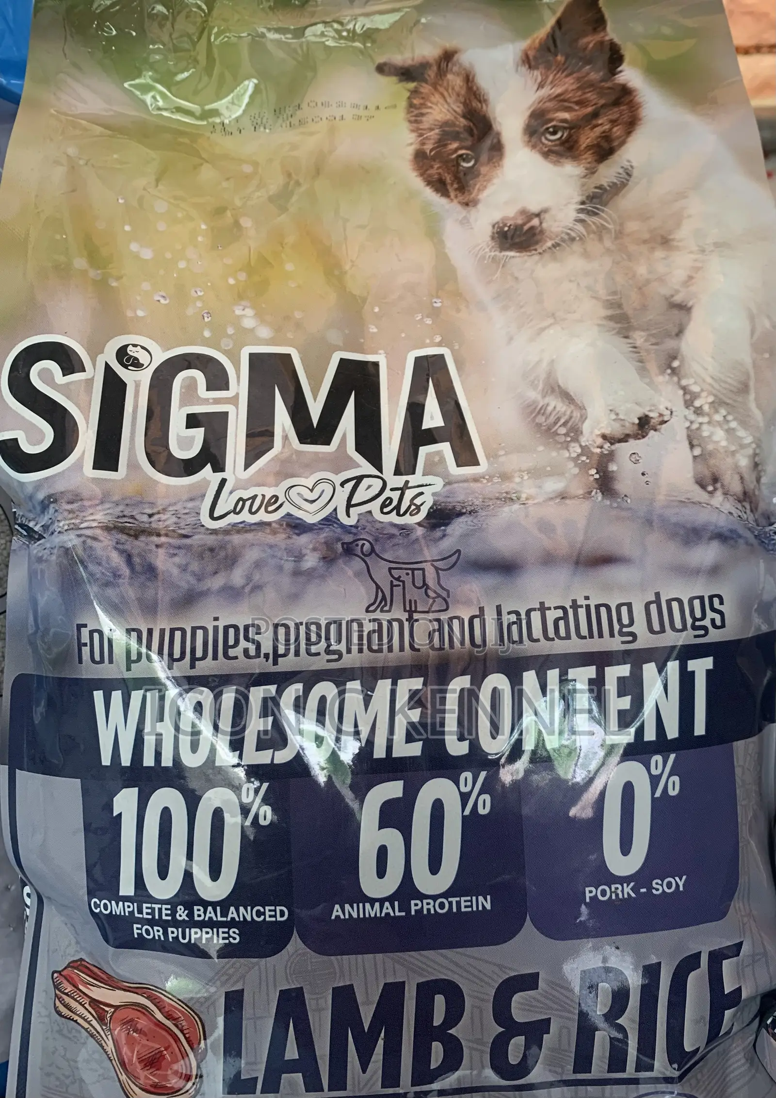 Sigma Puppy