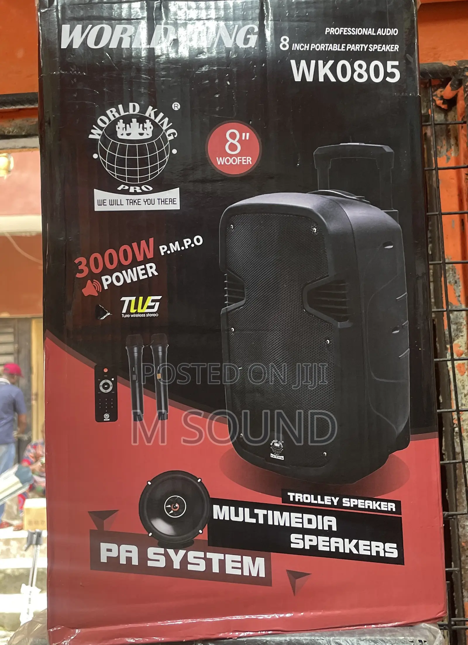 World King Public Address System