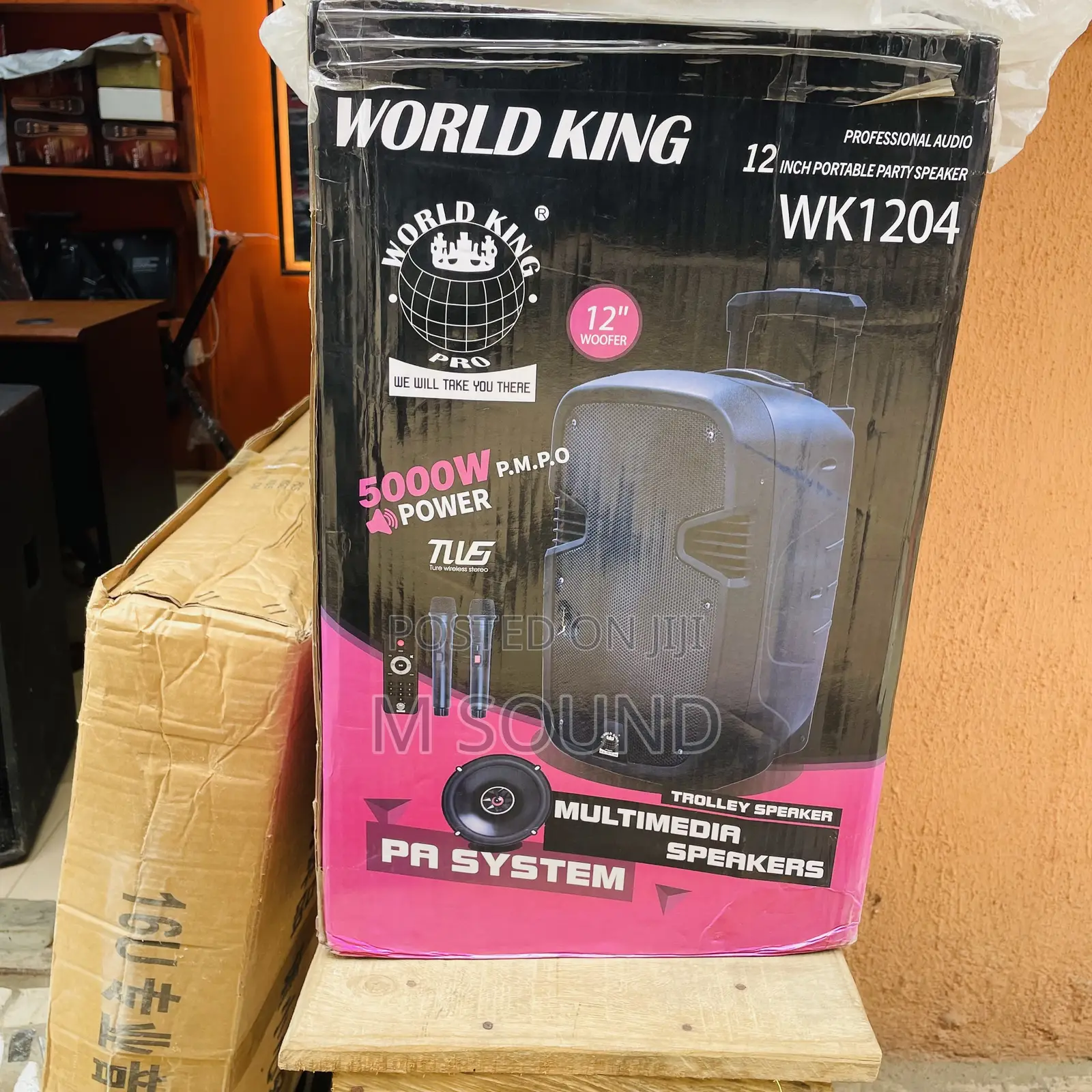 World King Public Address 12 Inch’s