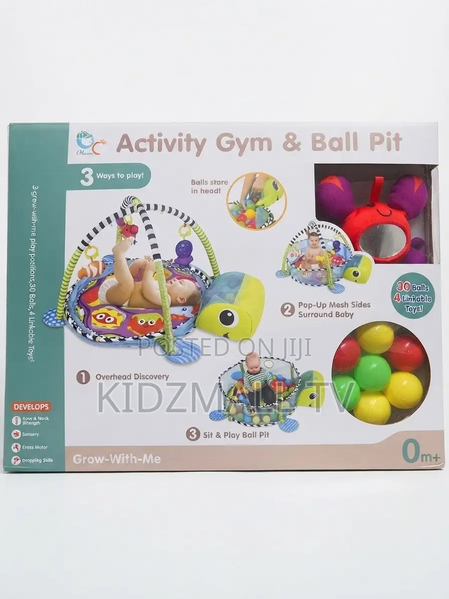 Activity Gym and Ball Pit