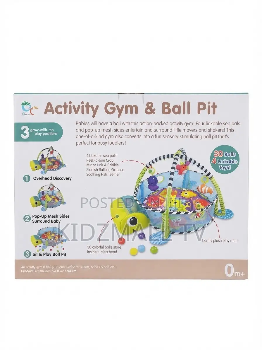 Activity Gym and Ball Pit