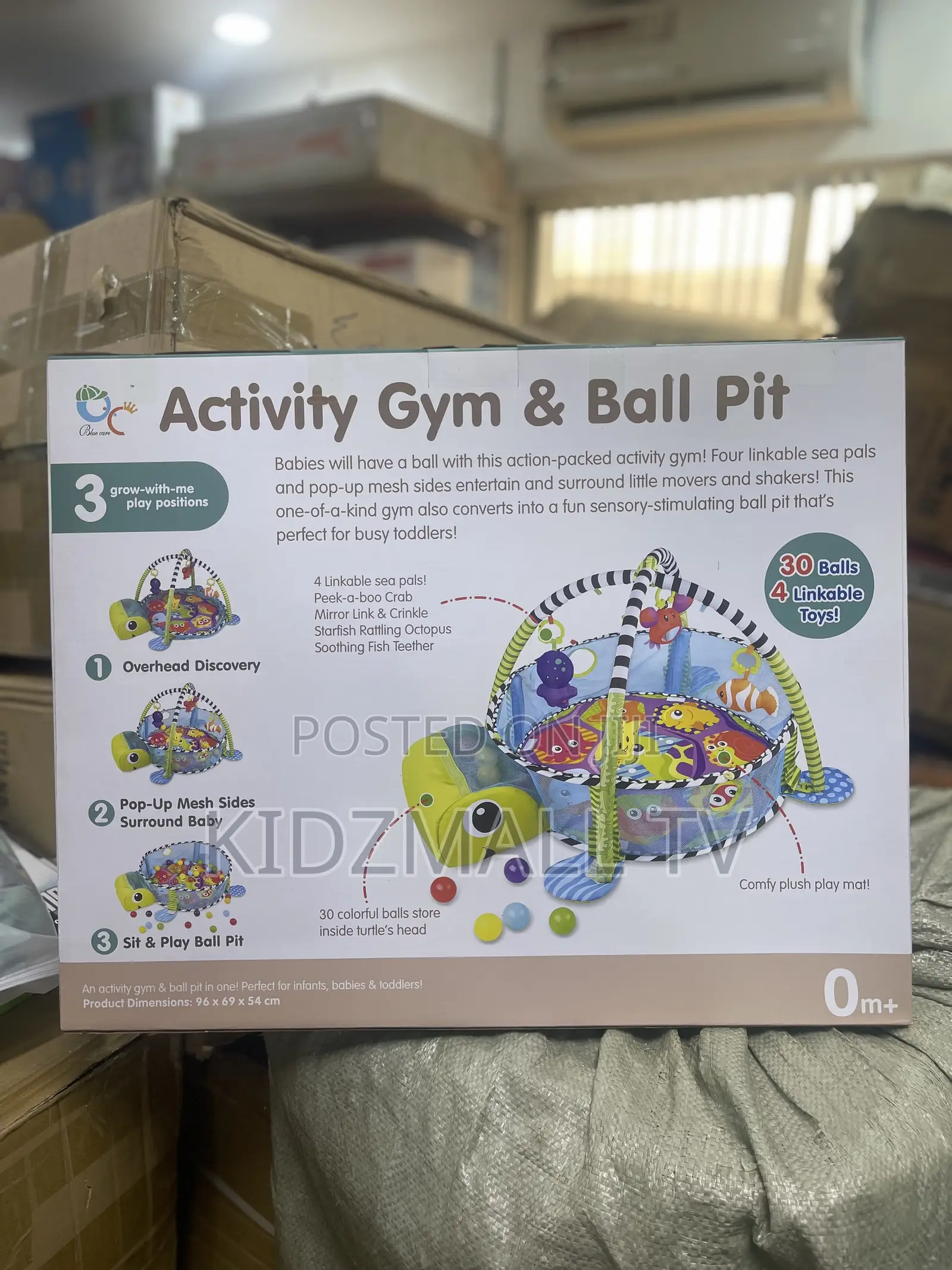 Activity Gym and Ball Pit