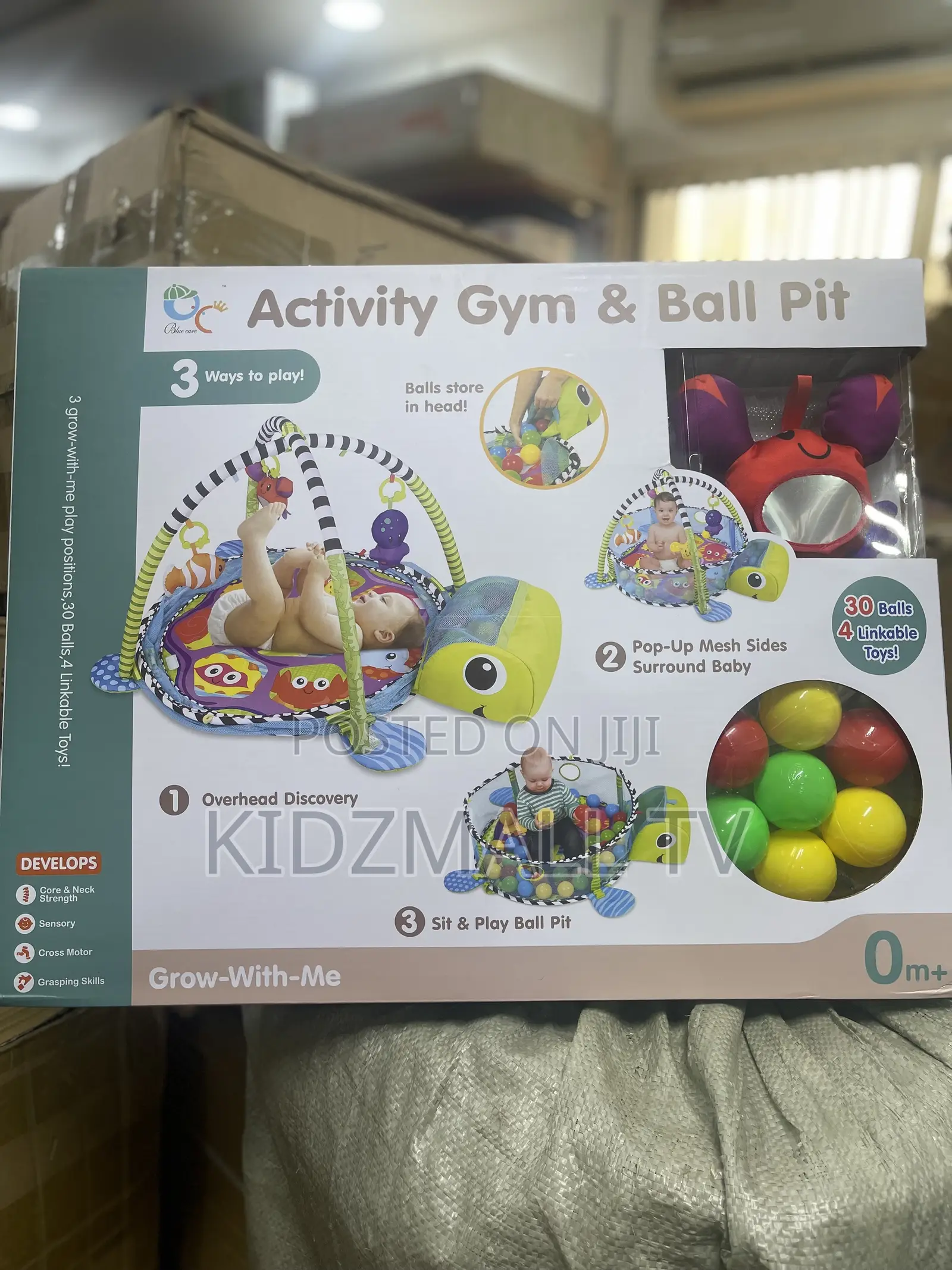 Activity Gym and Ball Pit