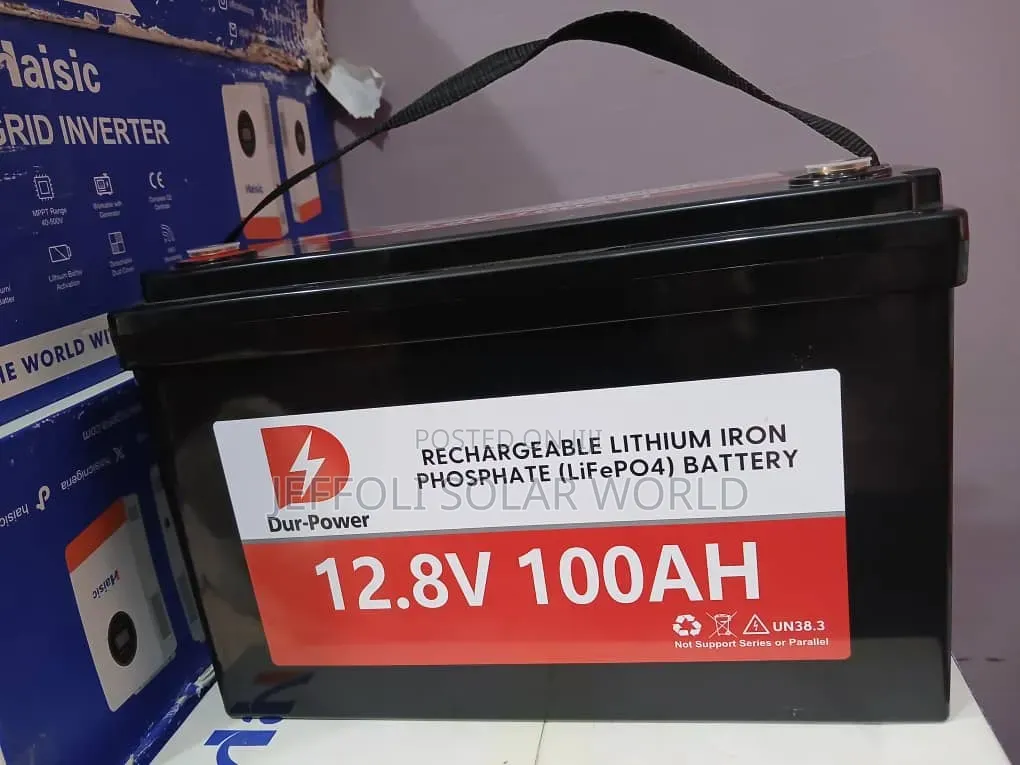 Dur-Power 12.8v100Ah
