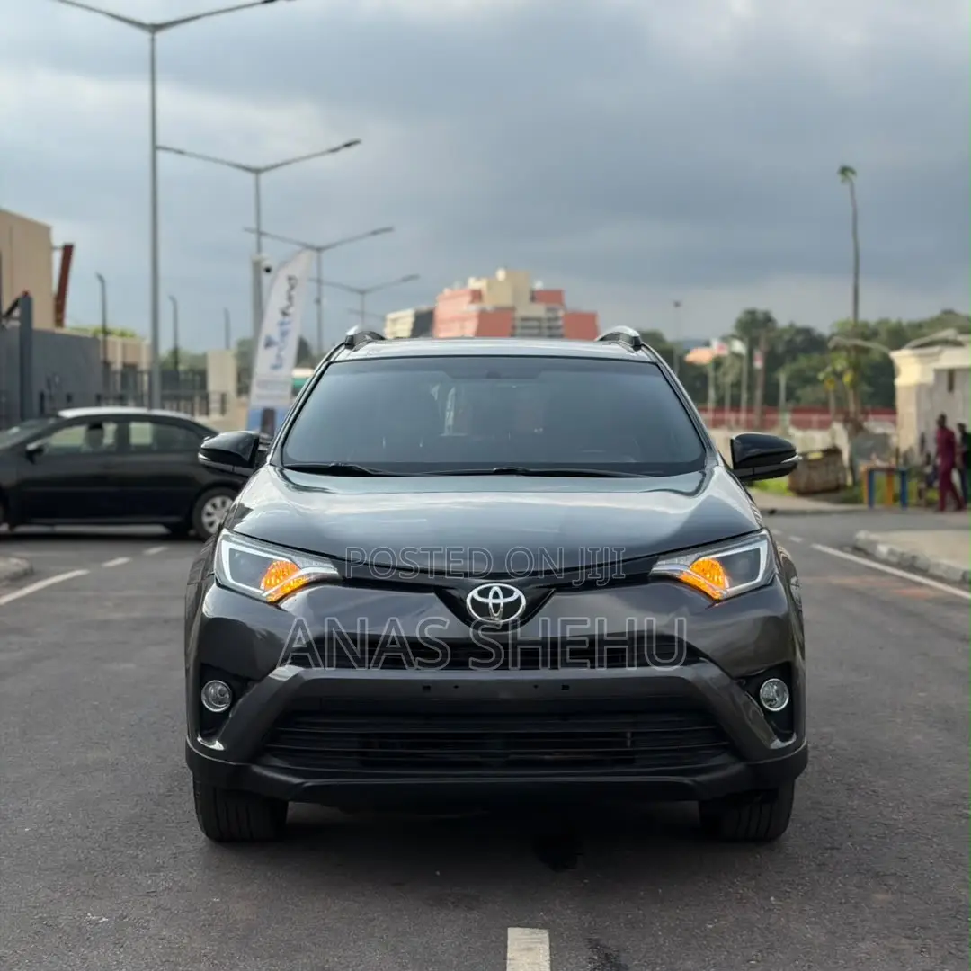 Toyota RAV4 XLE 4dr SUV AWD (2.5L 4cyl 6A) 2018 Gray