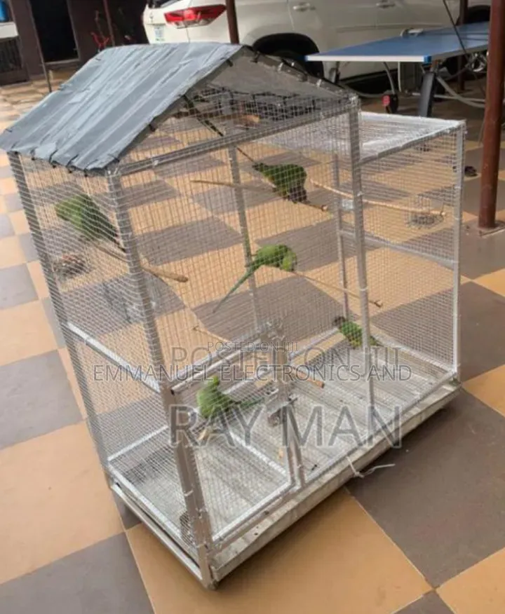 Parrot / Bird Cage