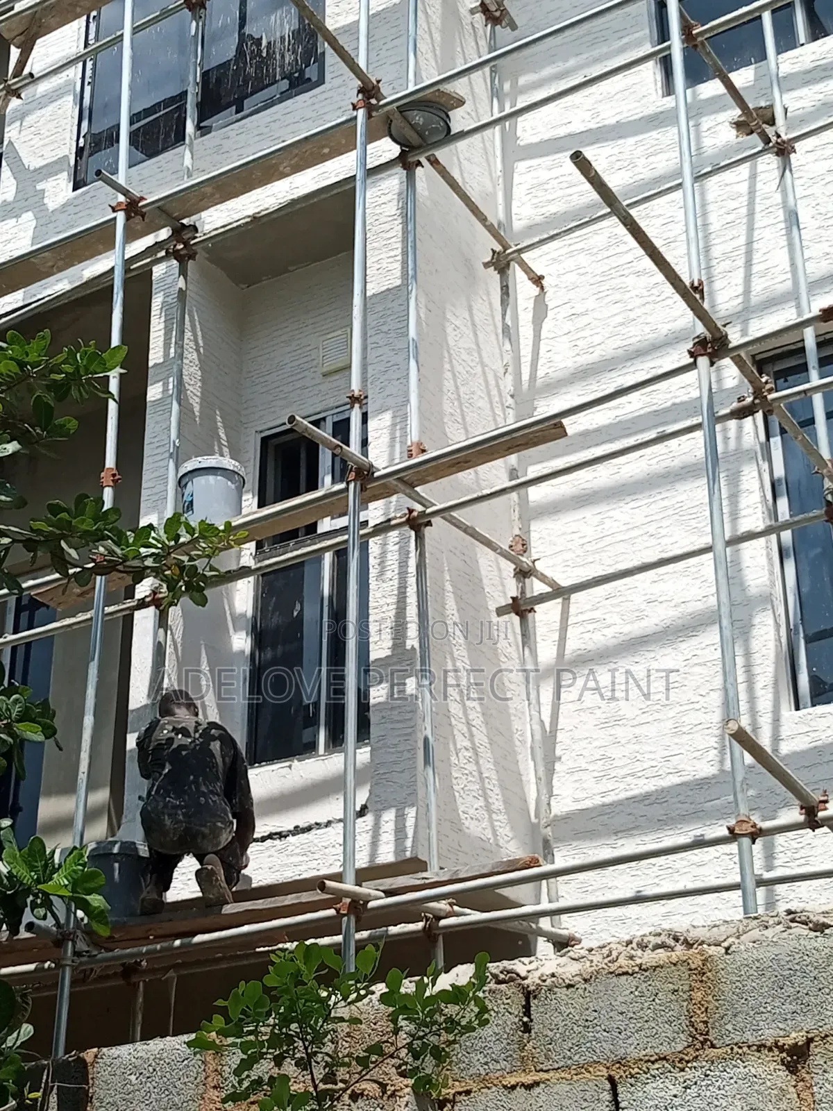 Adelove Strong Gravitex Paint