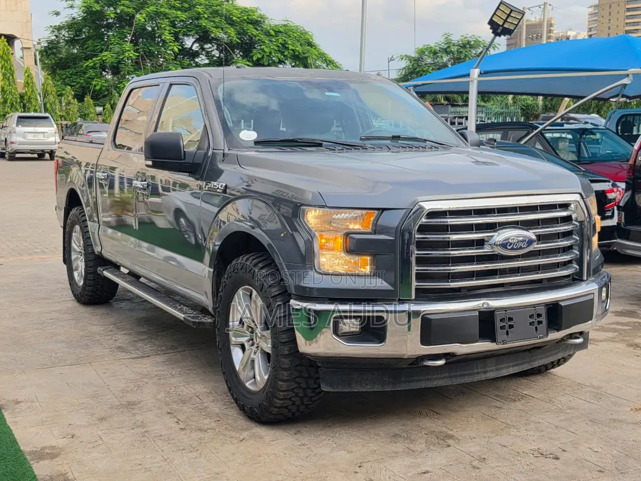 Ford F-150 2016 Gray