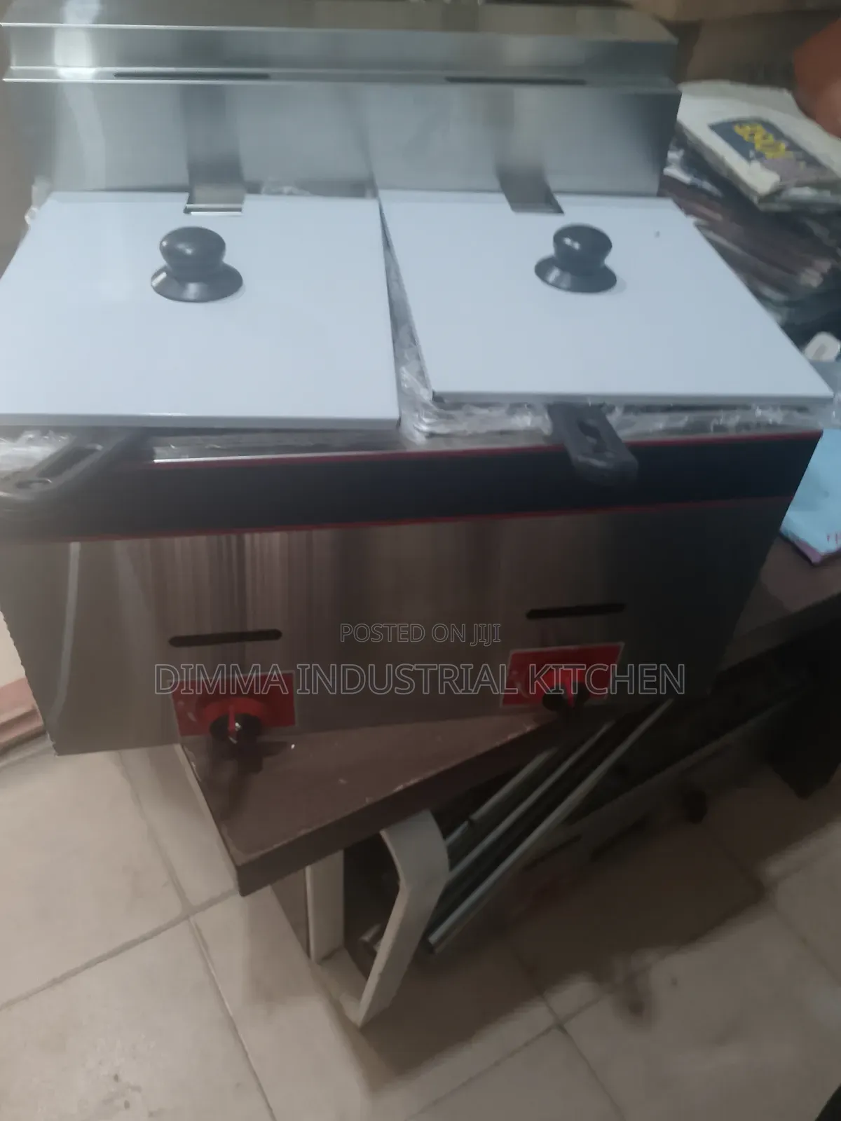 Double Tank 10L Gas Deep Fryer