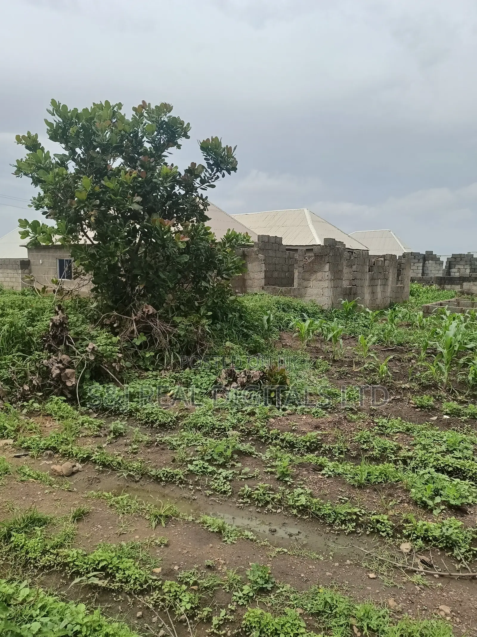 2 Hectares of Land for Sale