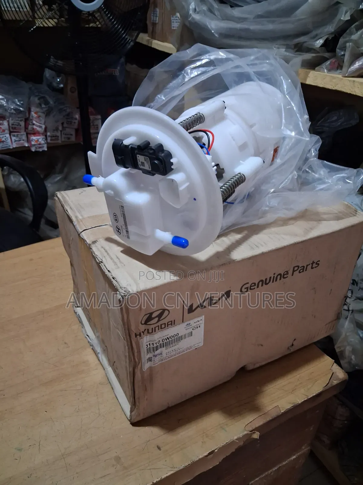 Complete Fuel Pump Hyundai Santafe America