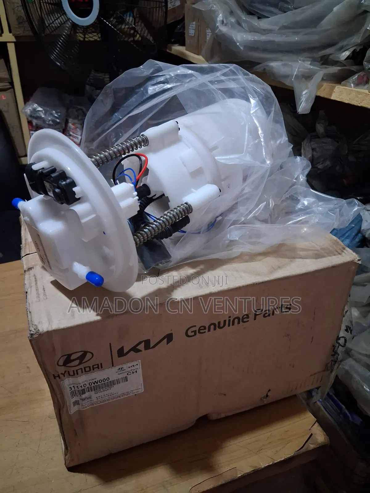 Complete Fuel Pump Hyundai Santafe America