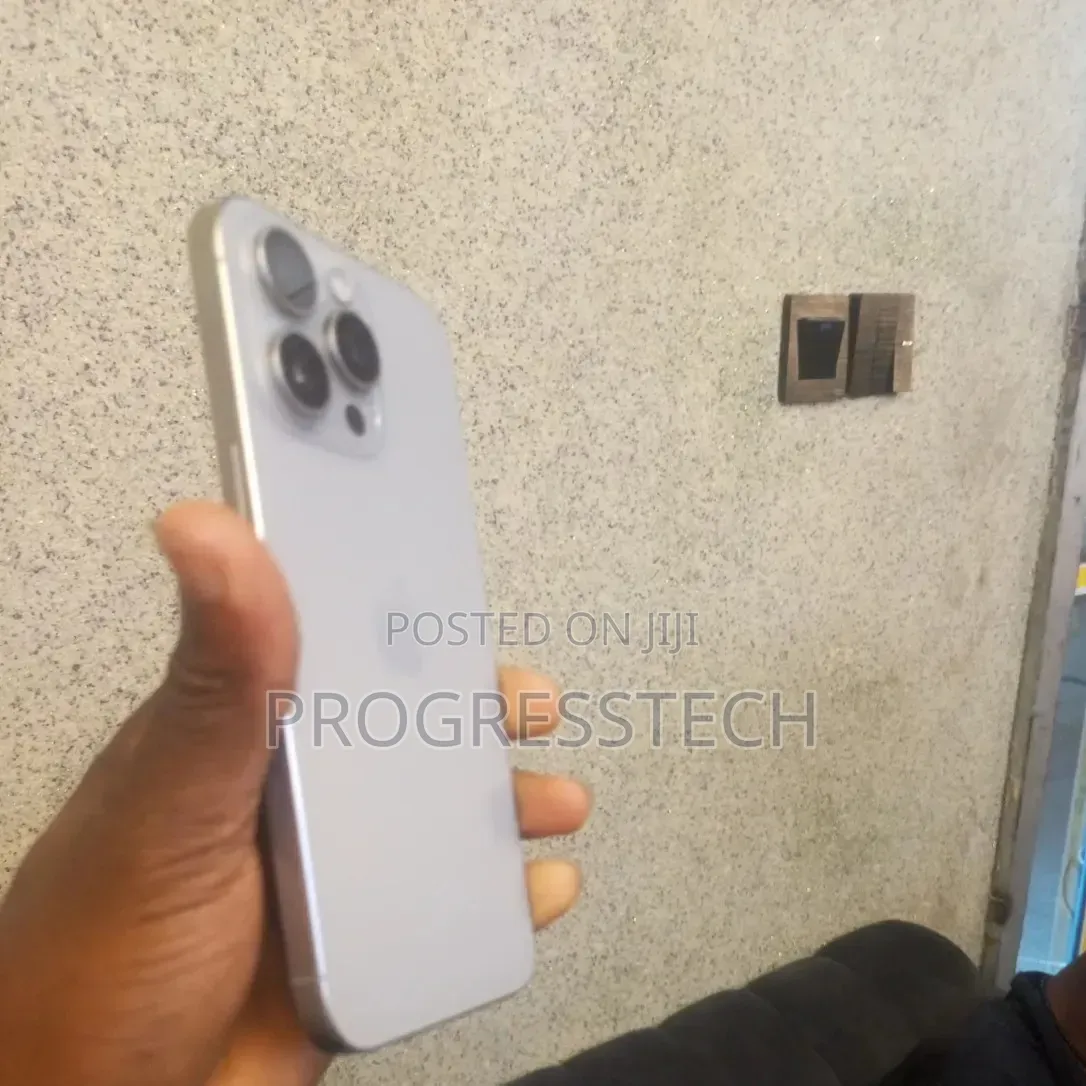 Apple iPhone 15 Pro Max 256 GB Silver