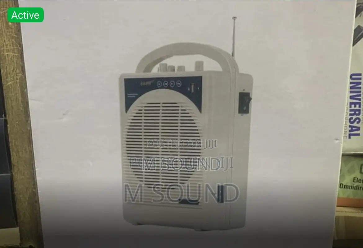 Portable PA System