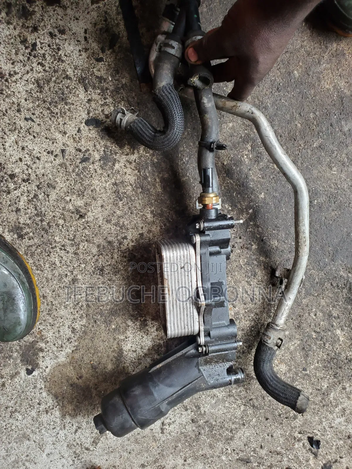 Engine Coolant Jeep Wrangler/ Dodge RAM 3.6 V6 2020/2022