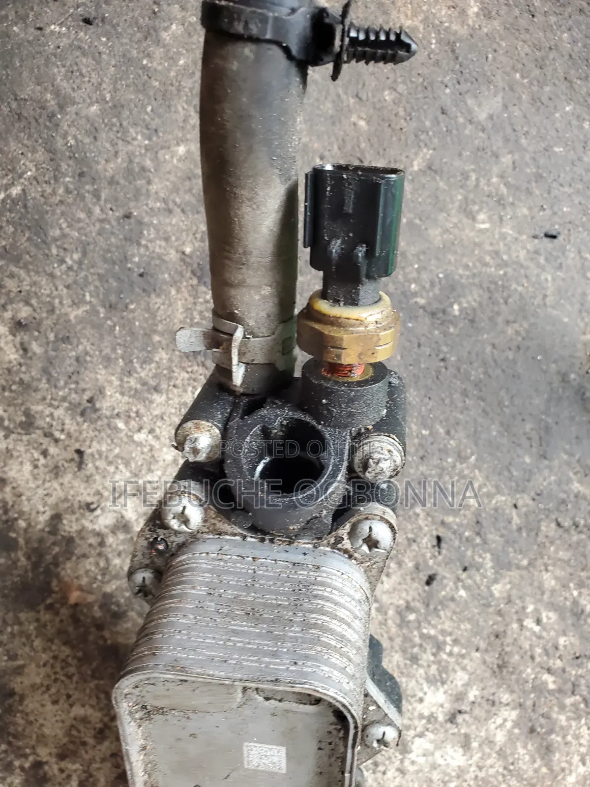 Engine Coolant Jeep Wrangler/ Dodge RAM 3.6 V6 2020/2022