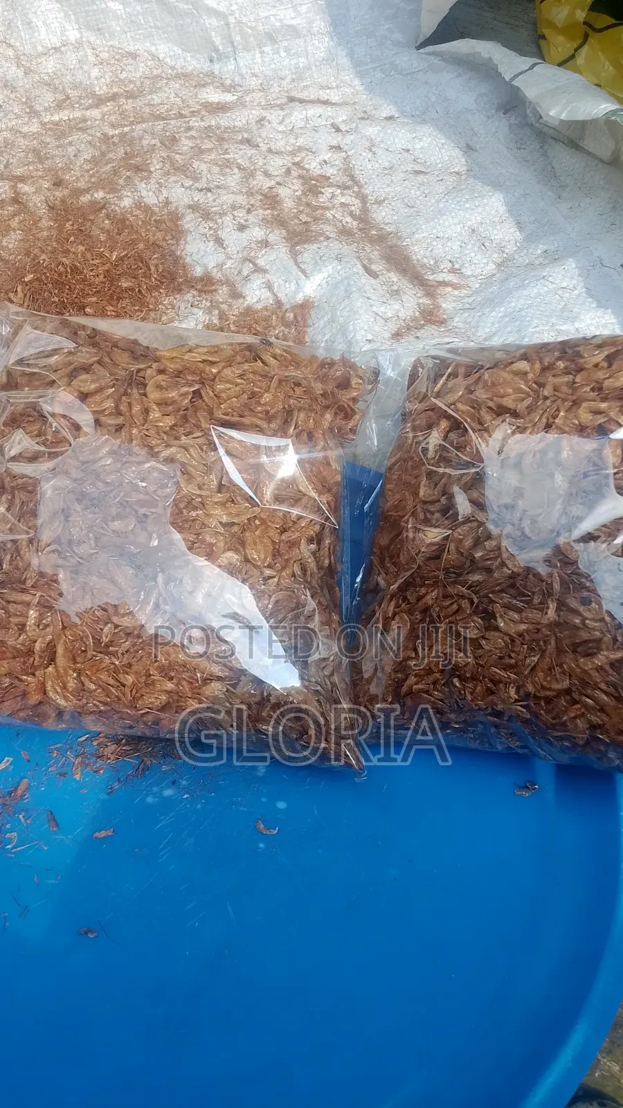 Clean Whole Dry Crayfish - Golden No Sand