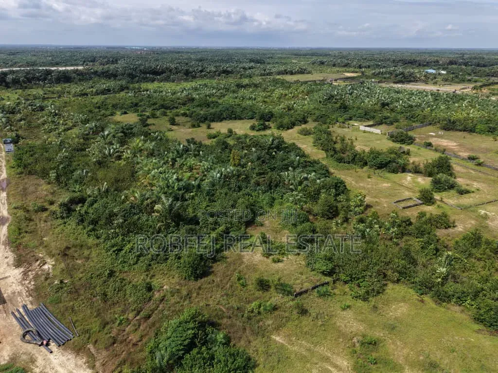 Prime Acreage for Quick Grab!