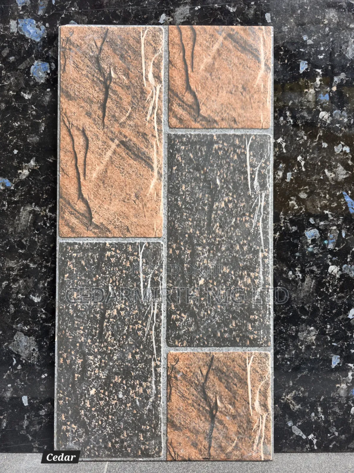 Wall Tiles for Interior Exterior Wall Cladding in 25cm X 50cm