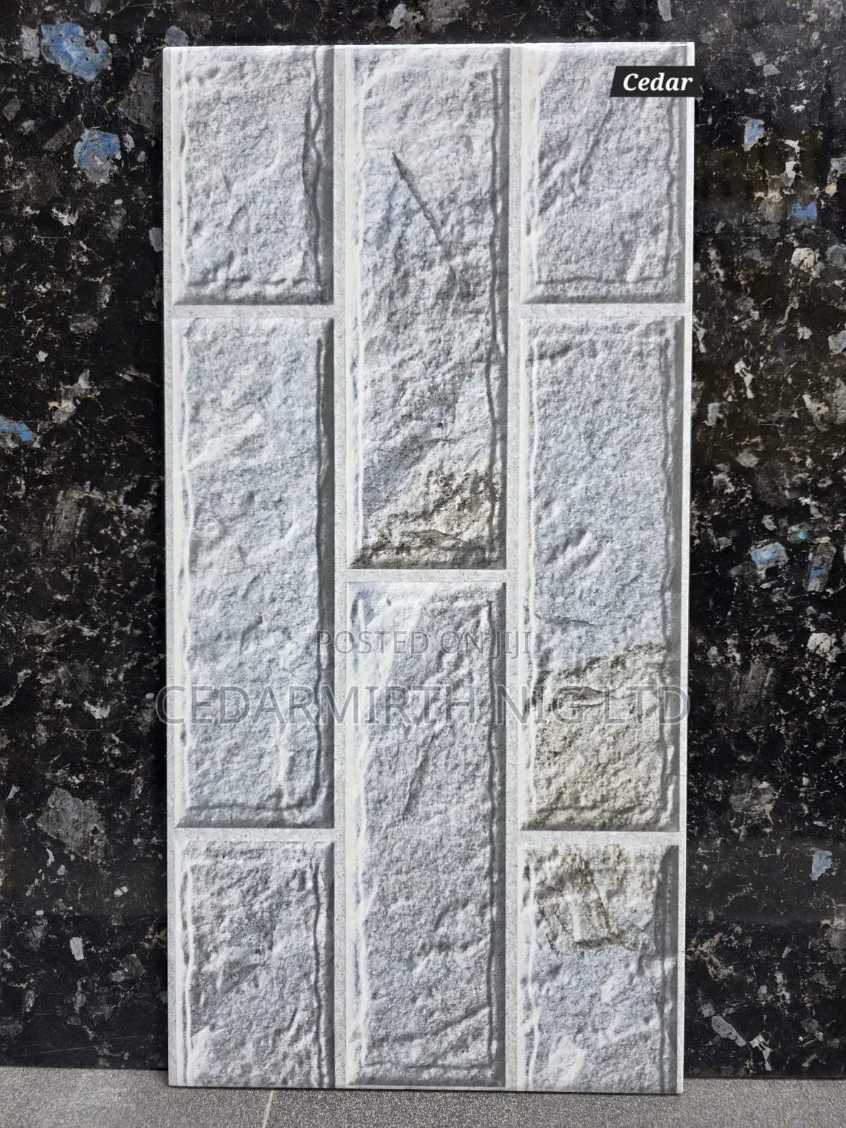 Wall Tiles for Interior Exterior Wall Cladding in 25cm X 50cm