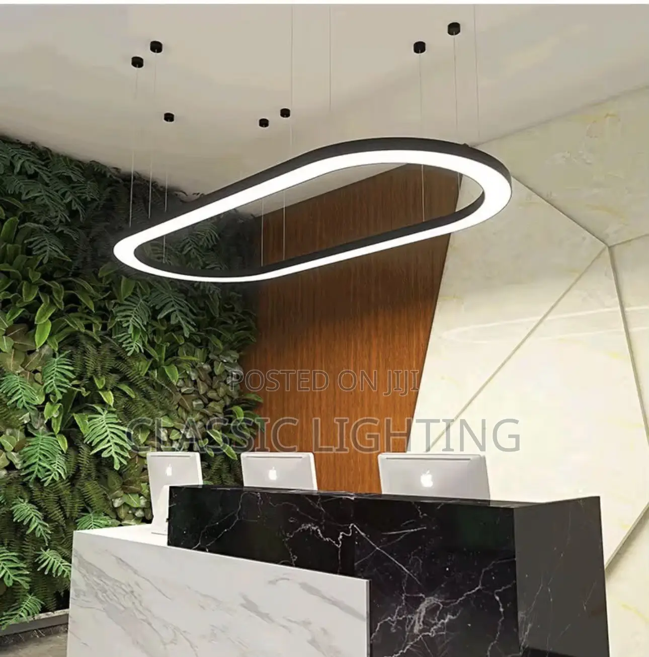 Modern Oval LED Chandelier Round Circular Ceiling Chandelier