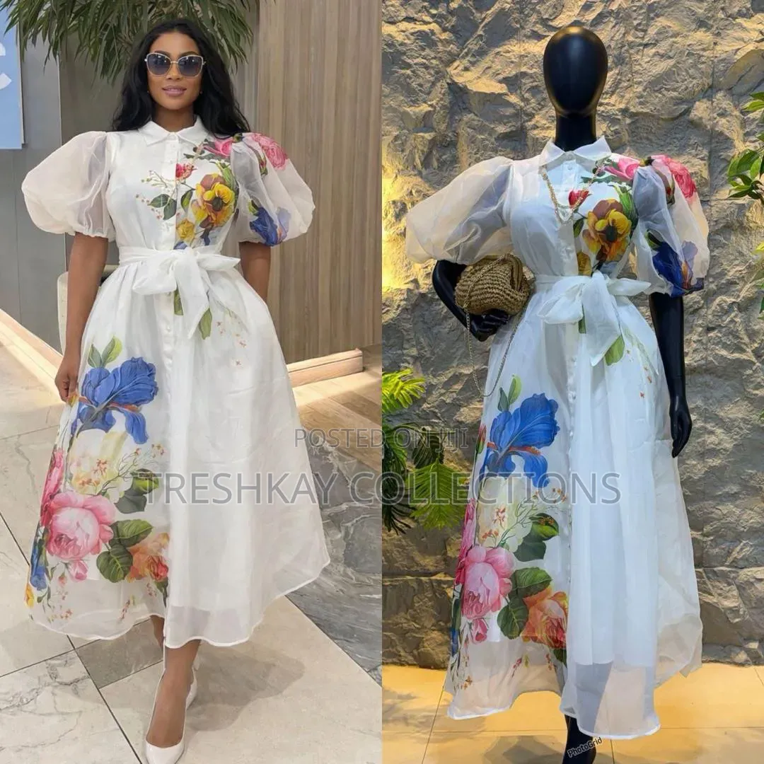 Luxury Plus Classy Ladies Dress