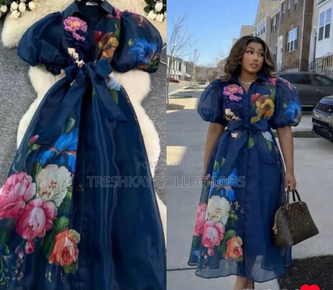 Luxury Plus Classy Ladies Dress