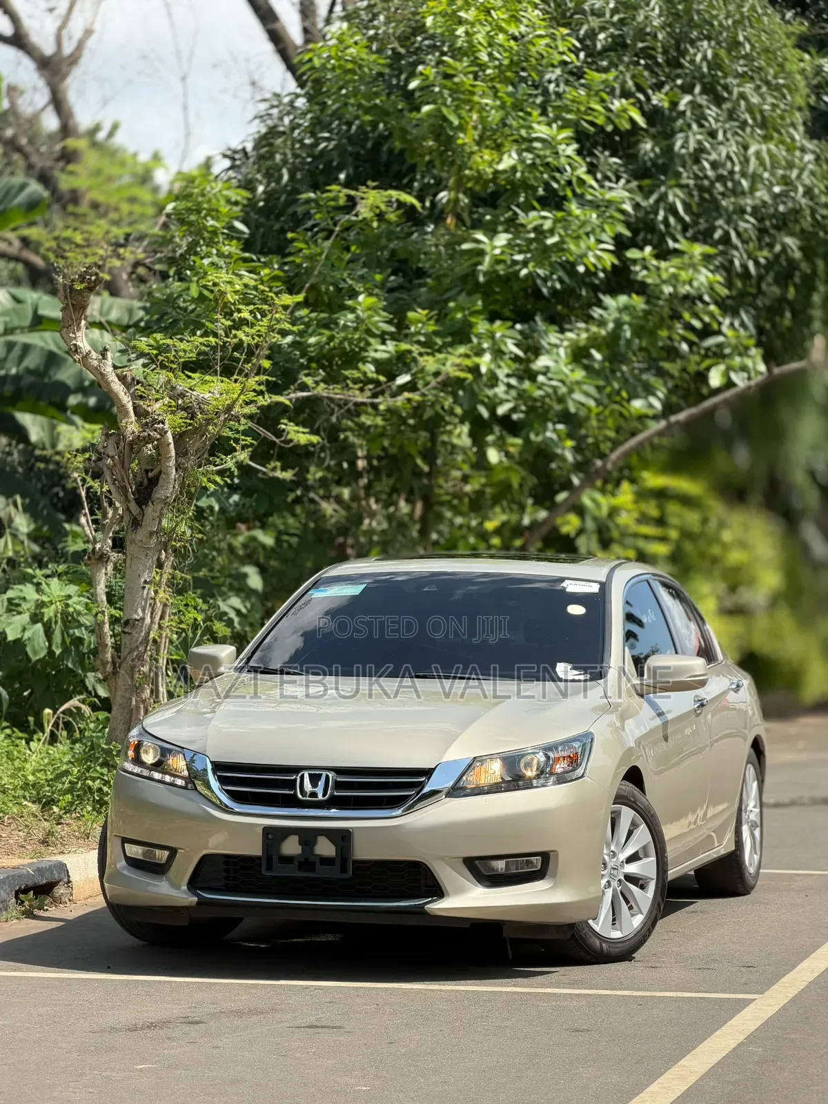 Honda Accord 2014 Gold