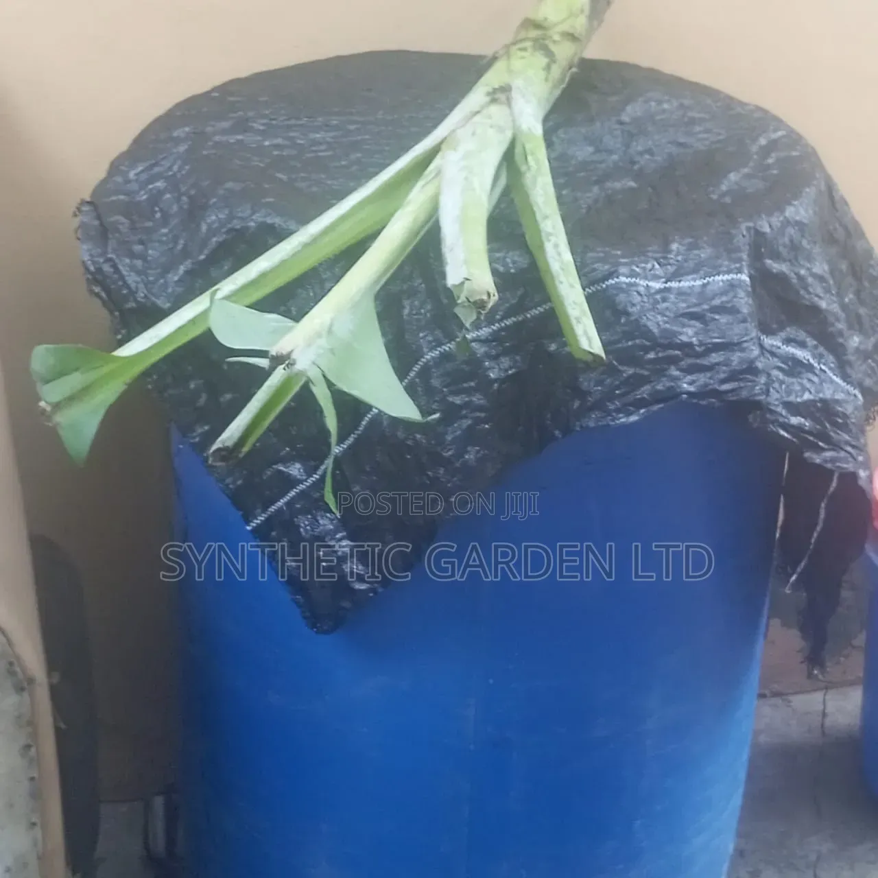 Forest Brew Potassium + ( Organic Fertilizer)