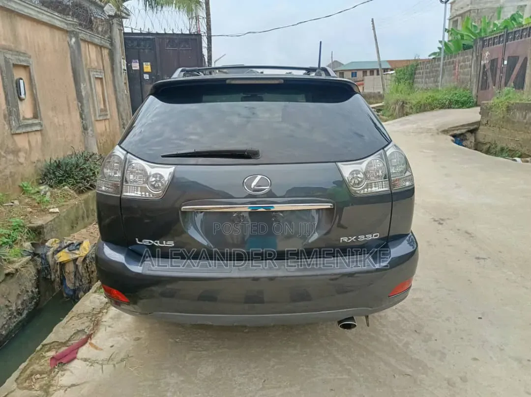 Lexus RX 2005 Gray
