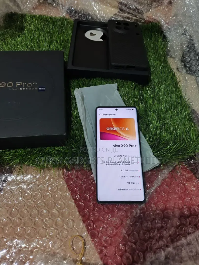 Vivo X90 Pro+ 512 GB Black