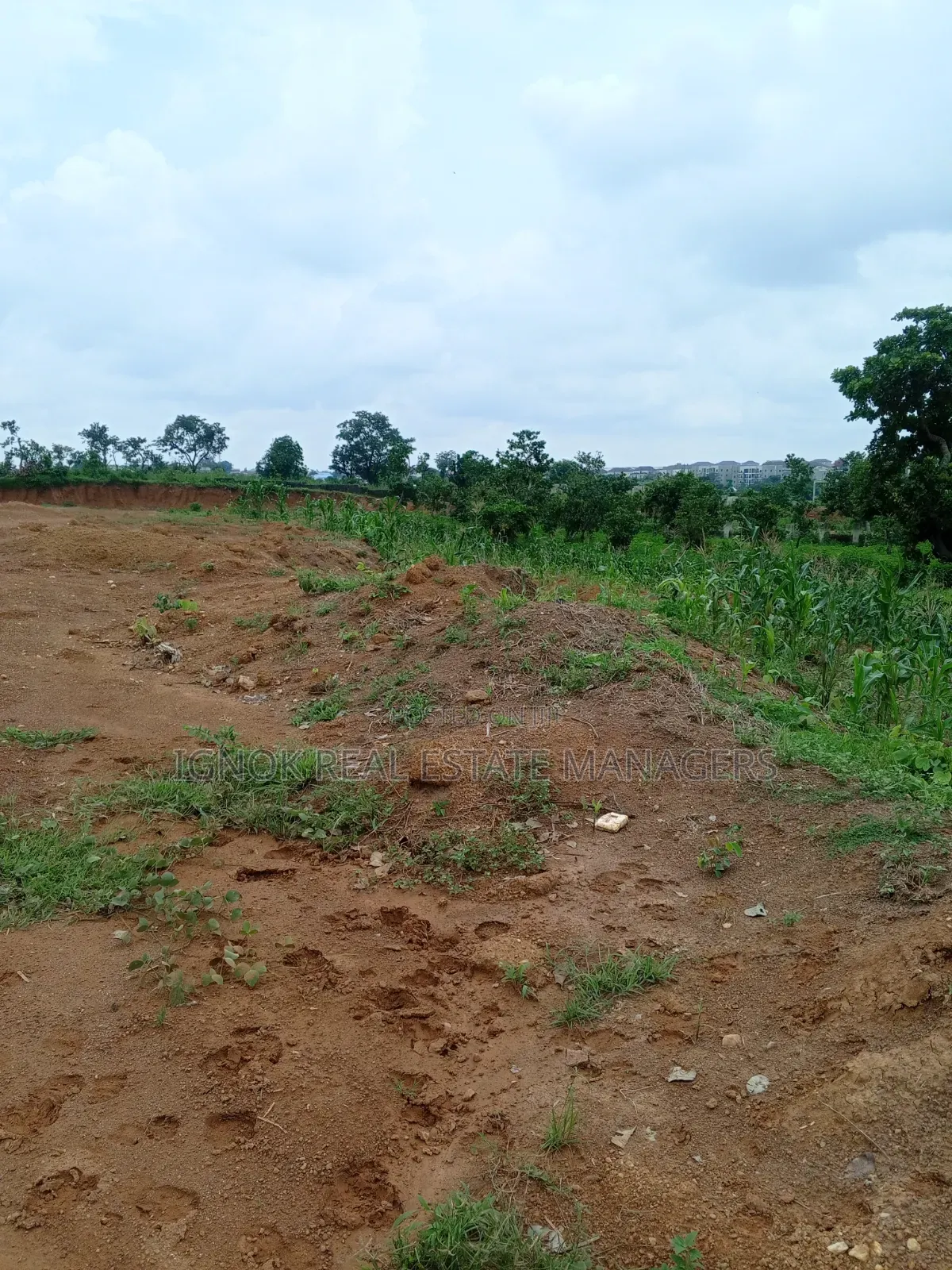 1270sqm Flat Commercial Land for Sale